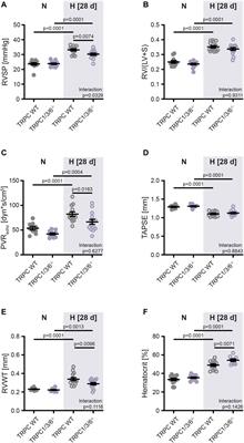 Deletion of classical transient receptor potential 1, 3 and 6 alters pulmonary vasoconstriction in chronic hypoxia-induced pulmonary hypertension in mice